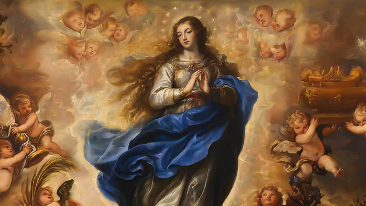 Deixe-se transformar pela Imaculada