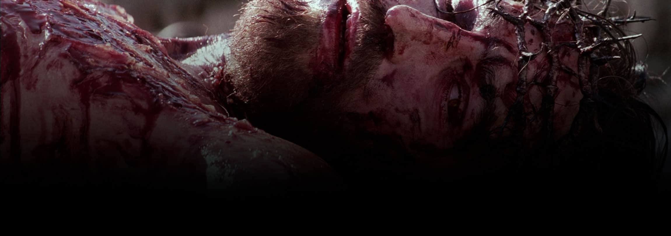 Como cordeiro levado ao matadouro