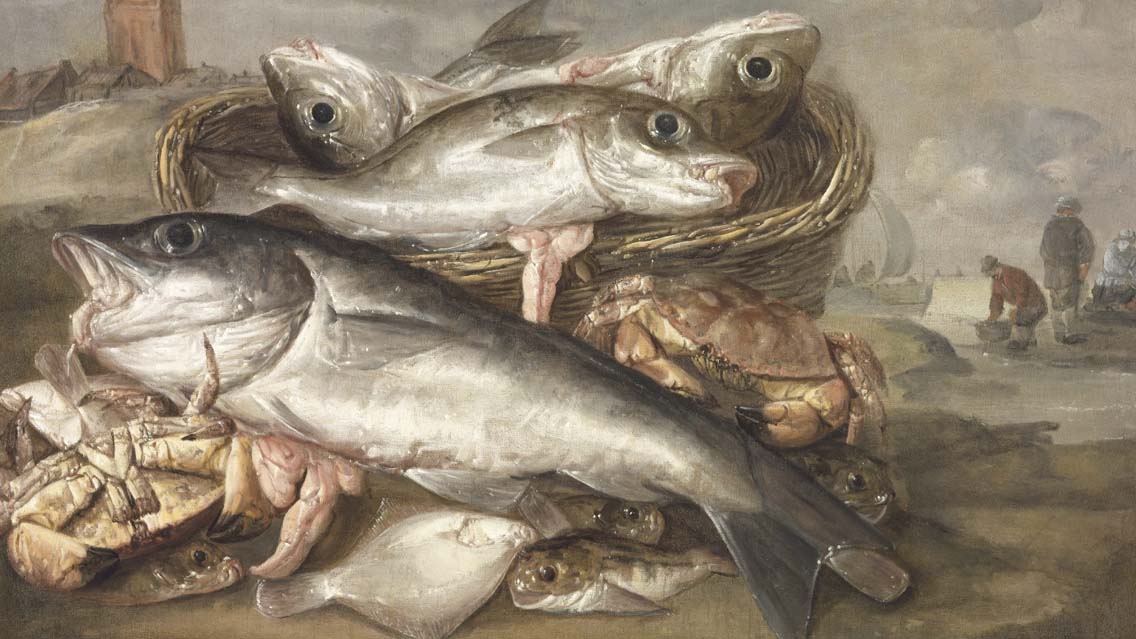 Bons e maus peixes
