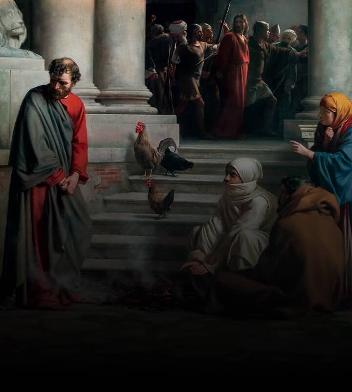 Um galo para acordar o Papa, e também a nós!