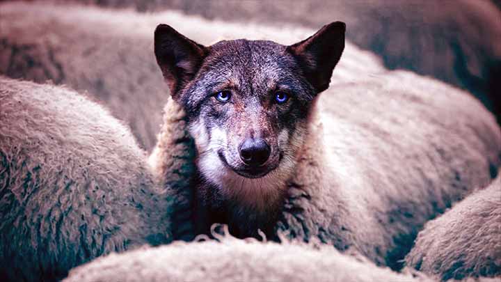 A Páscoa falsificada