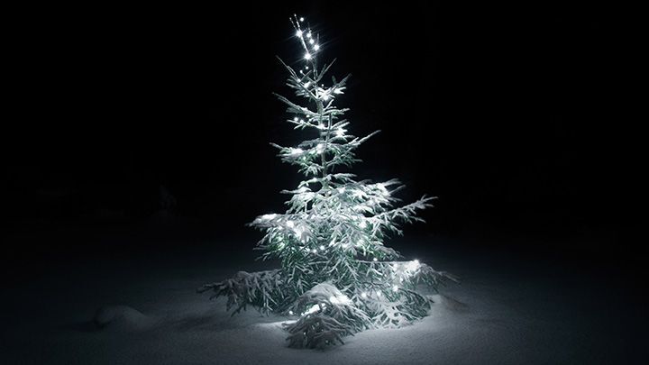 O Natal e a contracepção