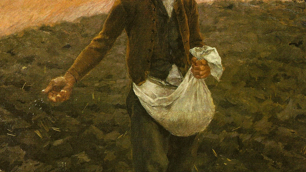 Entre pedras e espinhos