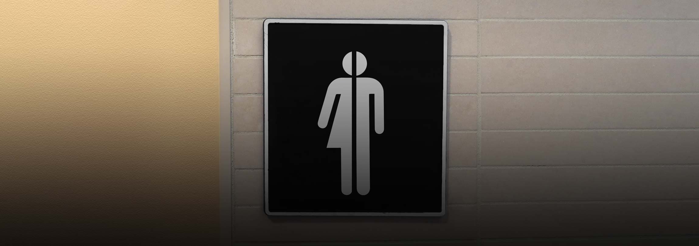 Os Cinco Mandamentos da Ideologia de Gênero