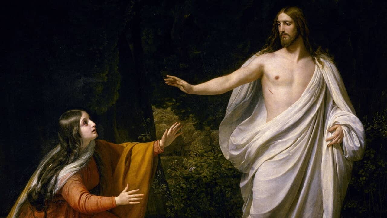 O divino “Jardineiro” de nossas vidas