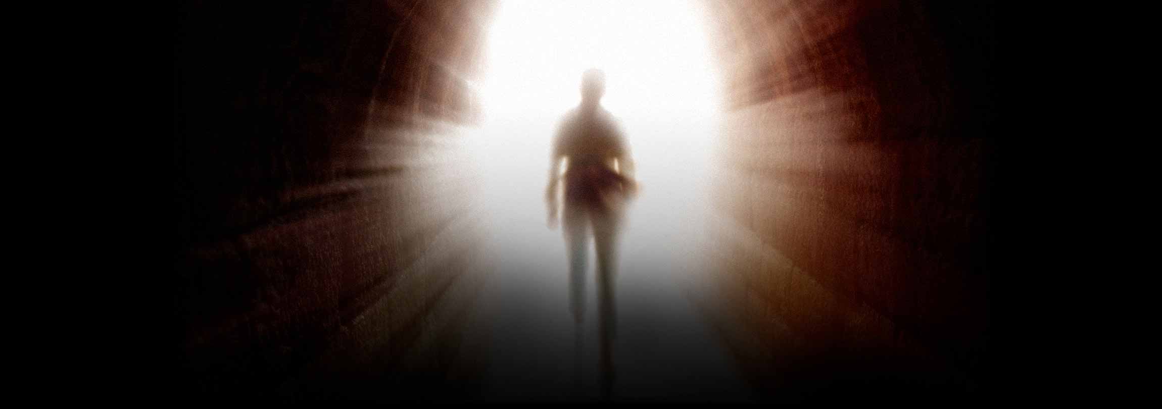 Jesus ensinou a reencarnação?