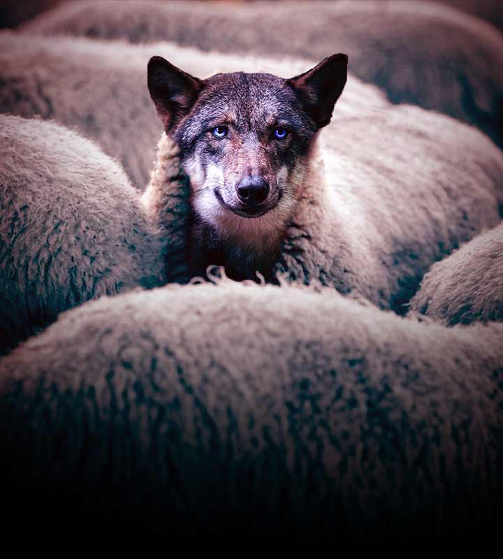 A Páscoa falsificada