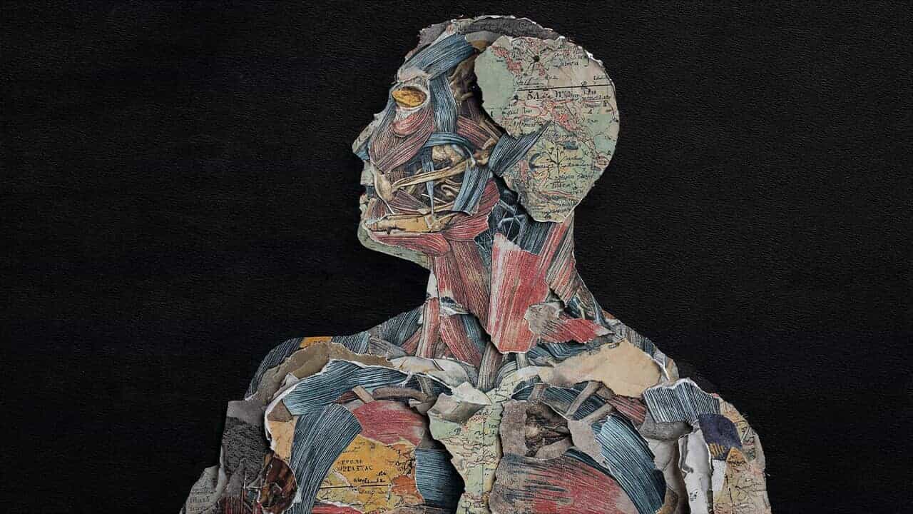 Masculinidade: dado natural ou construto social?