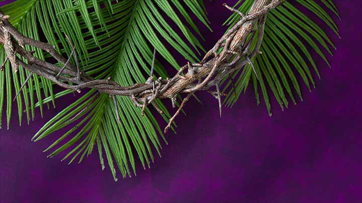 Uma bela oração para o Domingo de Ramos