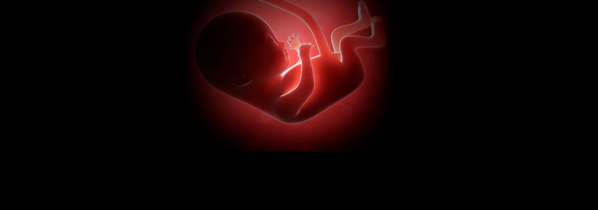 Mãe que perdeu bebê com 13 semanas se impressiona com humanidade do nascituro