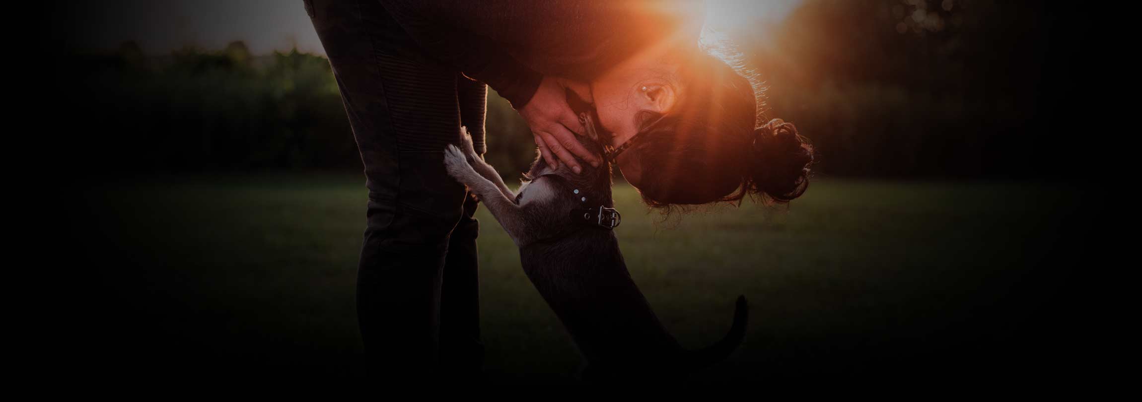 Filhotes não são bebês, e “mães de pet” não são mães