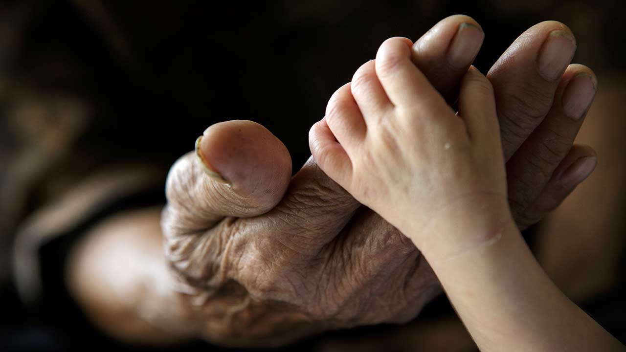 Perseverantes na paciência!