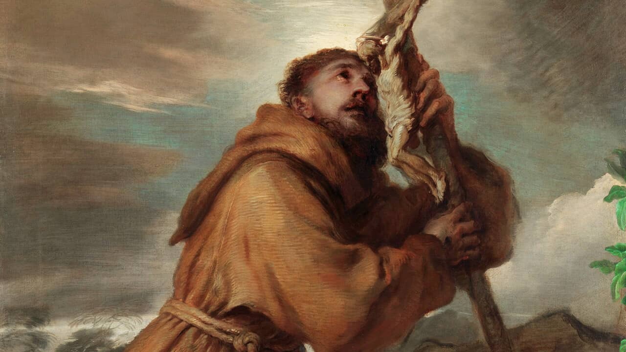 Sem dor, não há vida nova