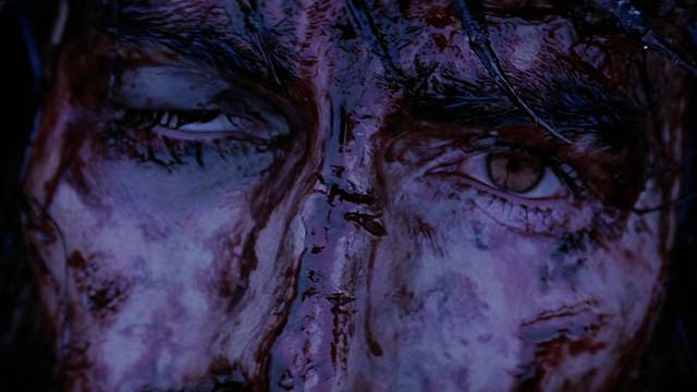 A dor de Cristo na Cruz foi a maior que existiu?