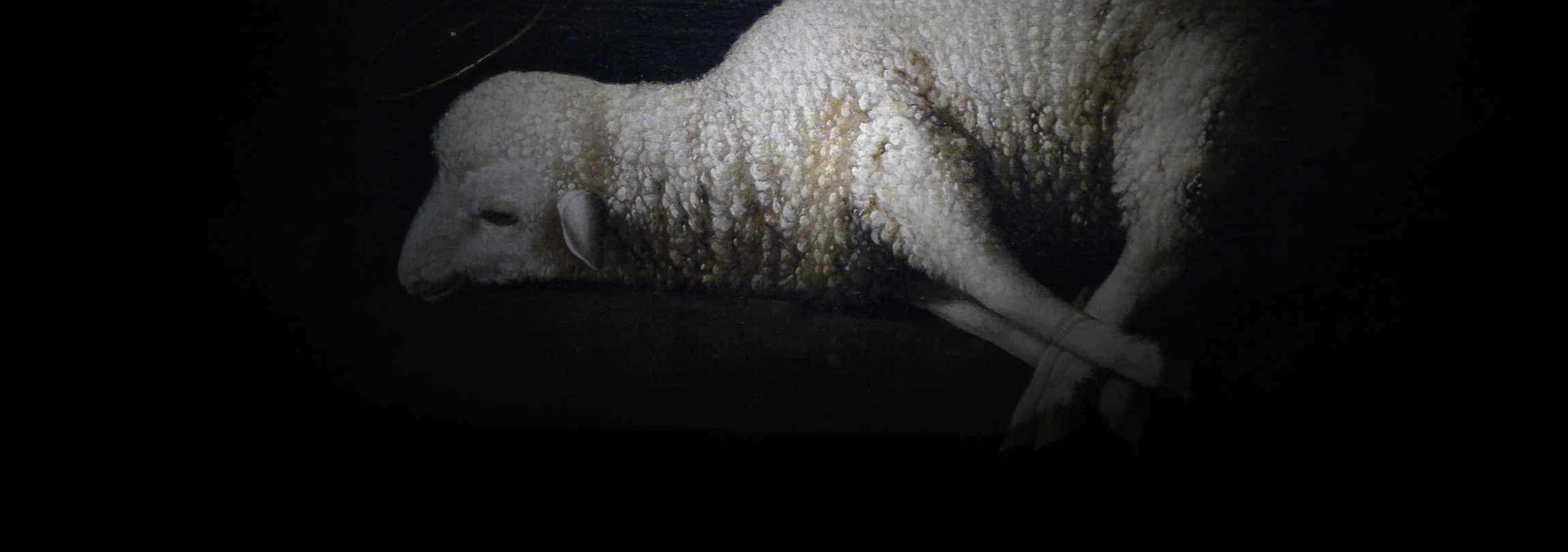 Eis o Cordeiro de Deus