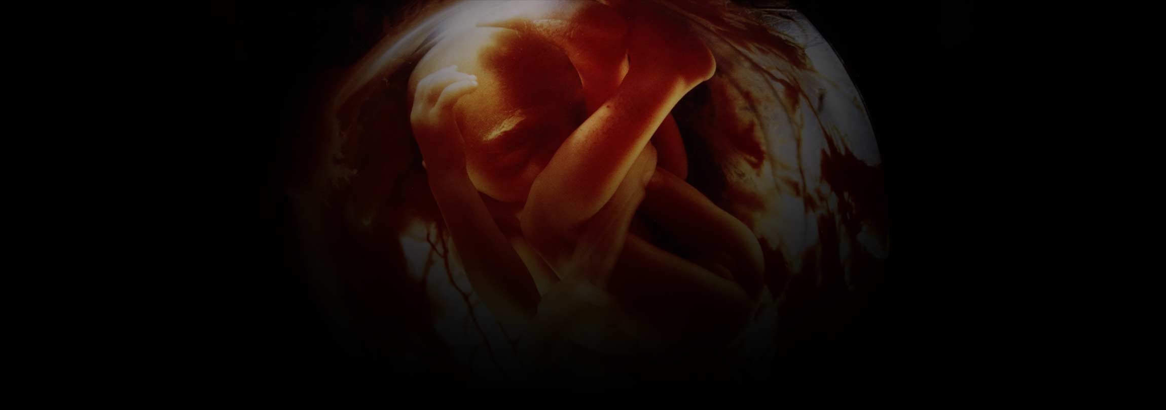 O dia que ganhei um debate sobre o aborto