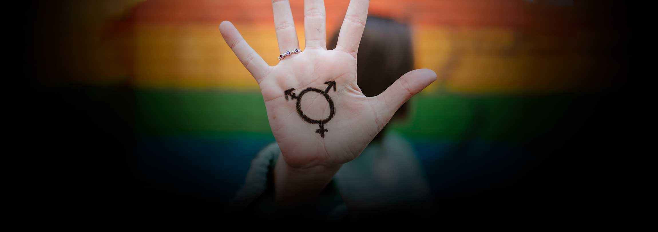 O fracasso da razão