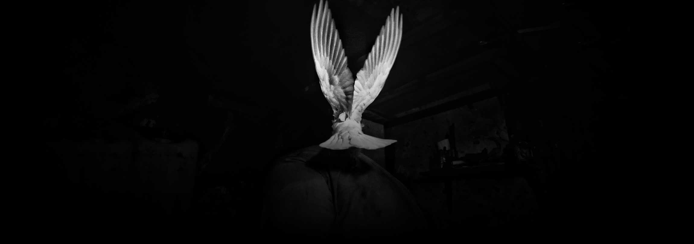 Os cinco símbolos do Espírito Santo