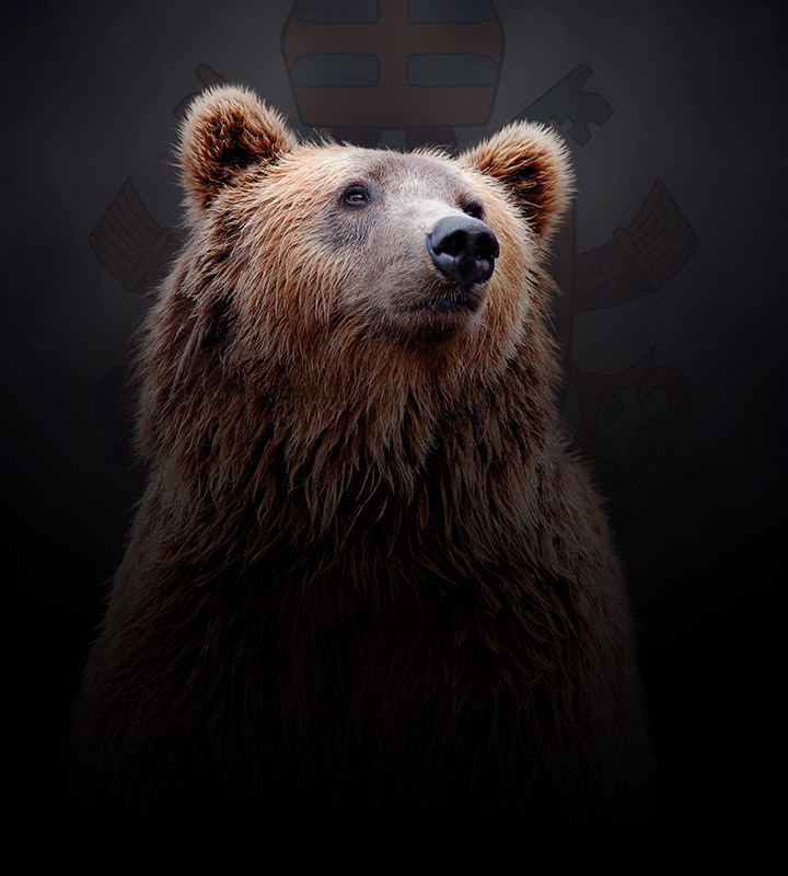 O santo que censurou um rei e domou um urso