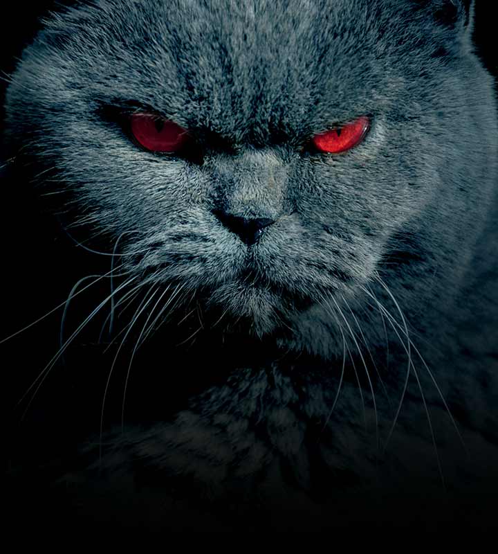 A falta de perdão é, literalmente, um inferno