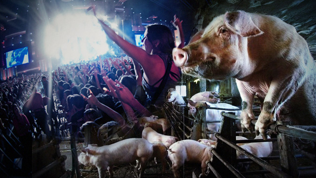 Rock in Rio e o orgulho dos porcos