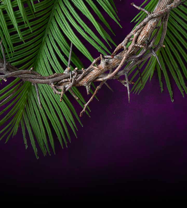 Uma bela oração para o Domingo de Ramos