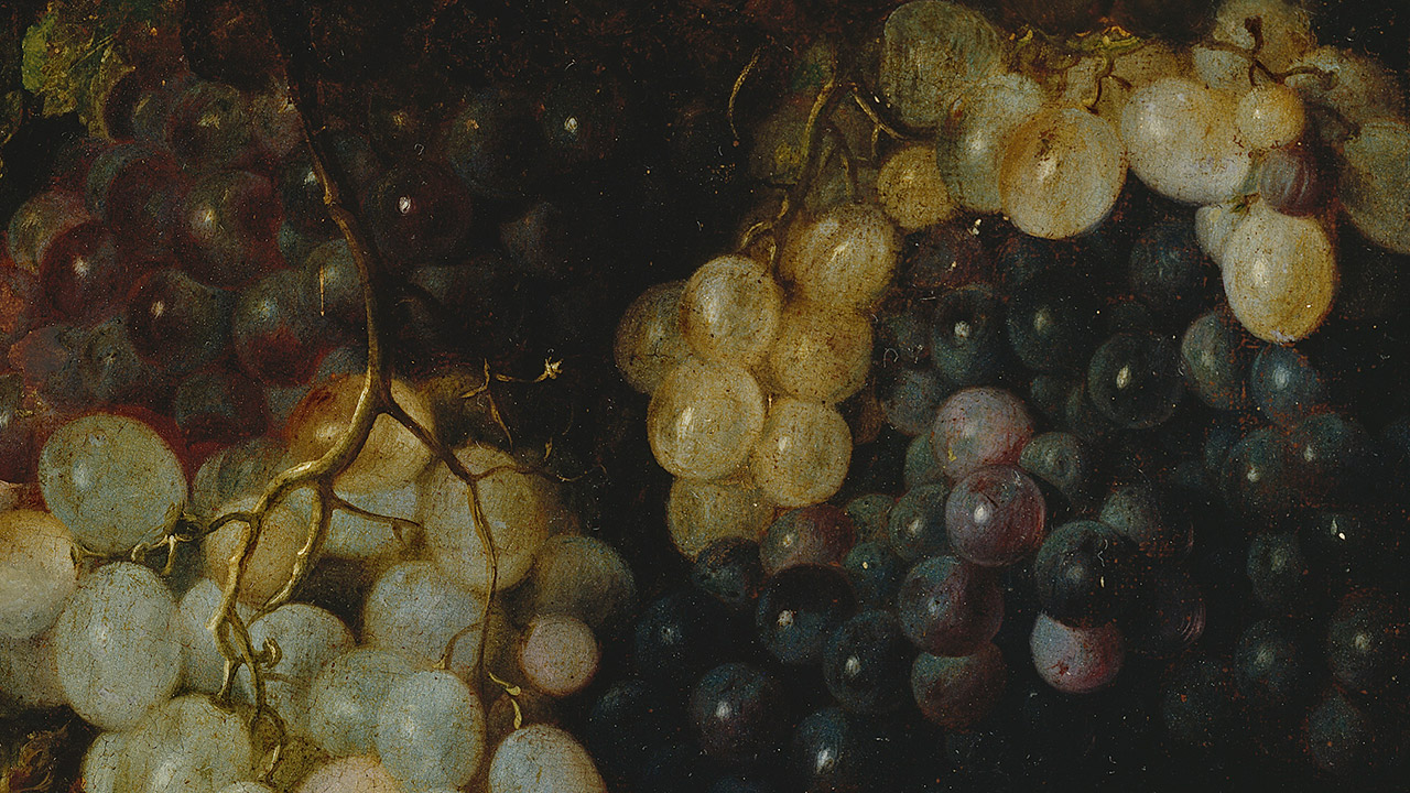 A paciência de Deus