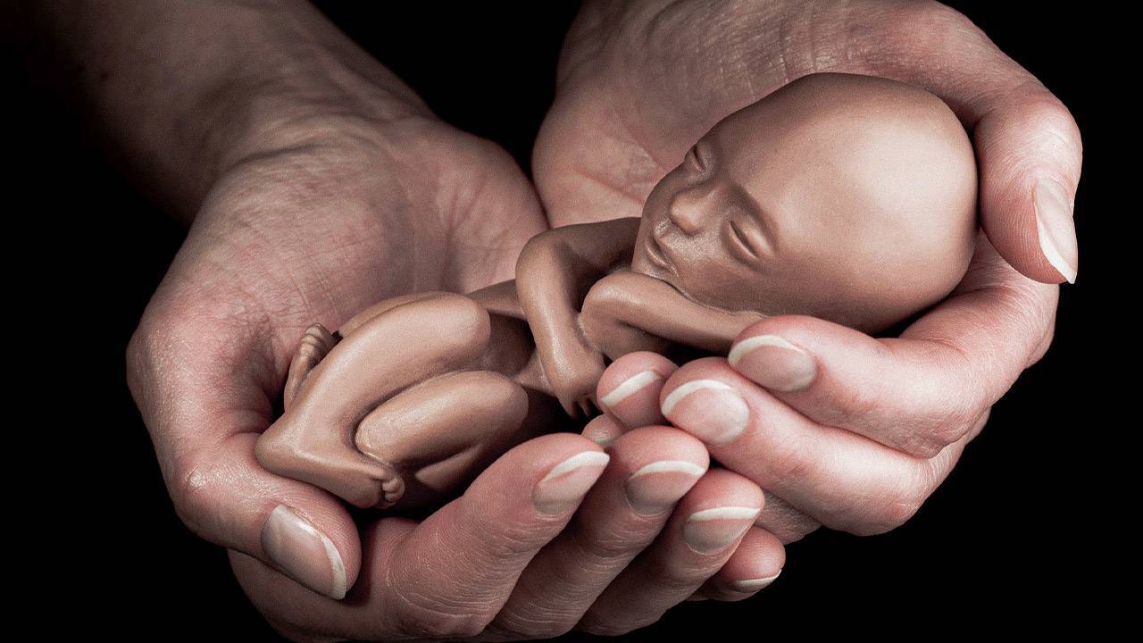 STF e o aborto: um “teatro armado”