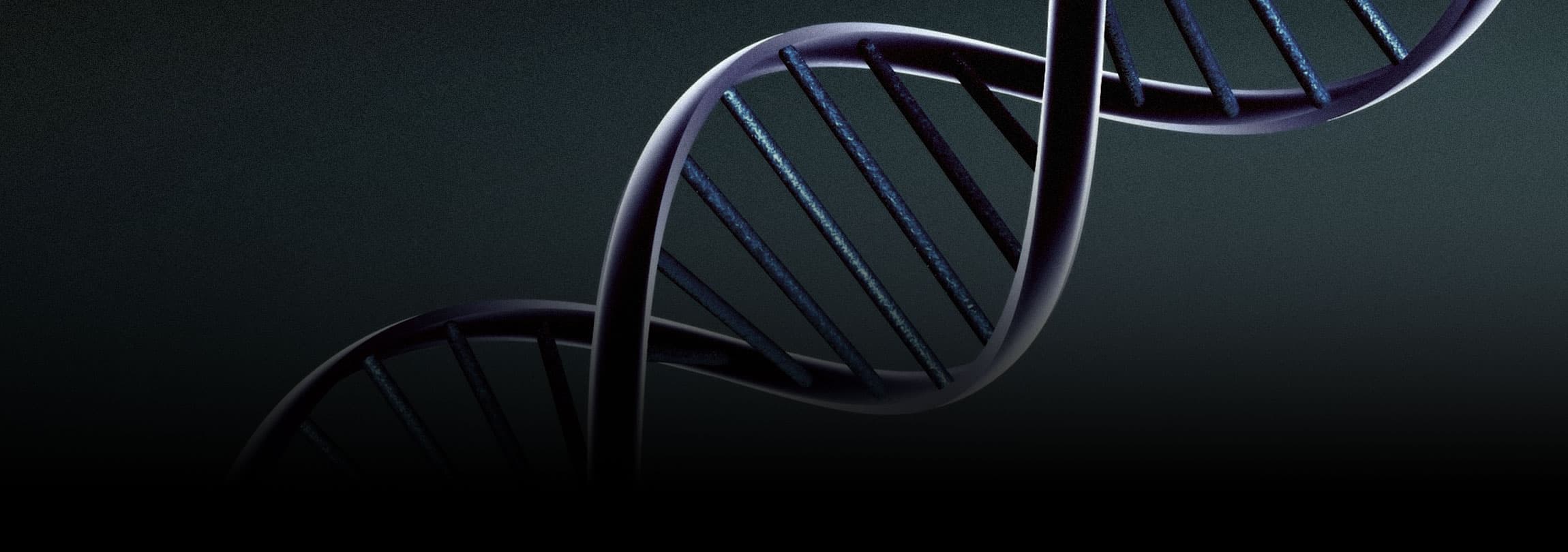 “Como cientista, posso afirmar que a homossexualidade não é inata”