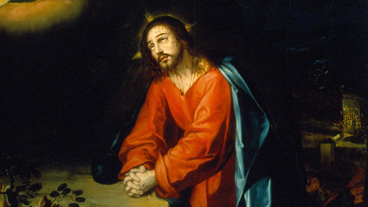 Cristo e a visão beatífica