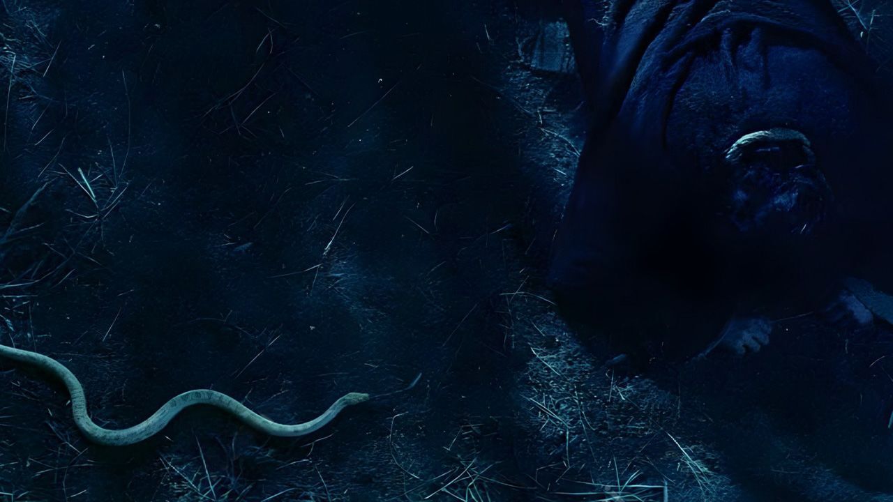 Contra quem estamos lutando?