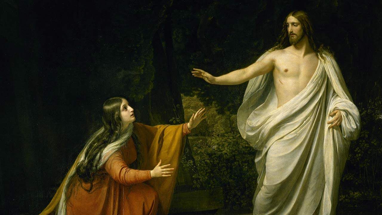 O jardim da nova criação