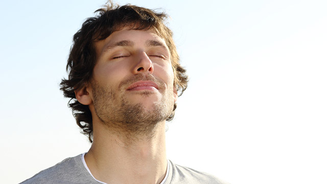 A purificação da imaginação