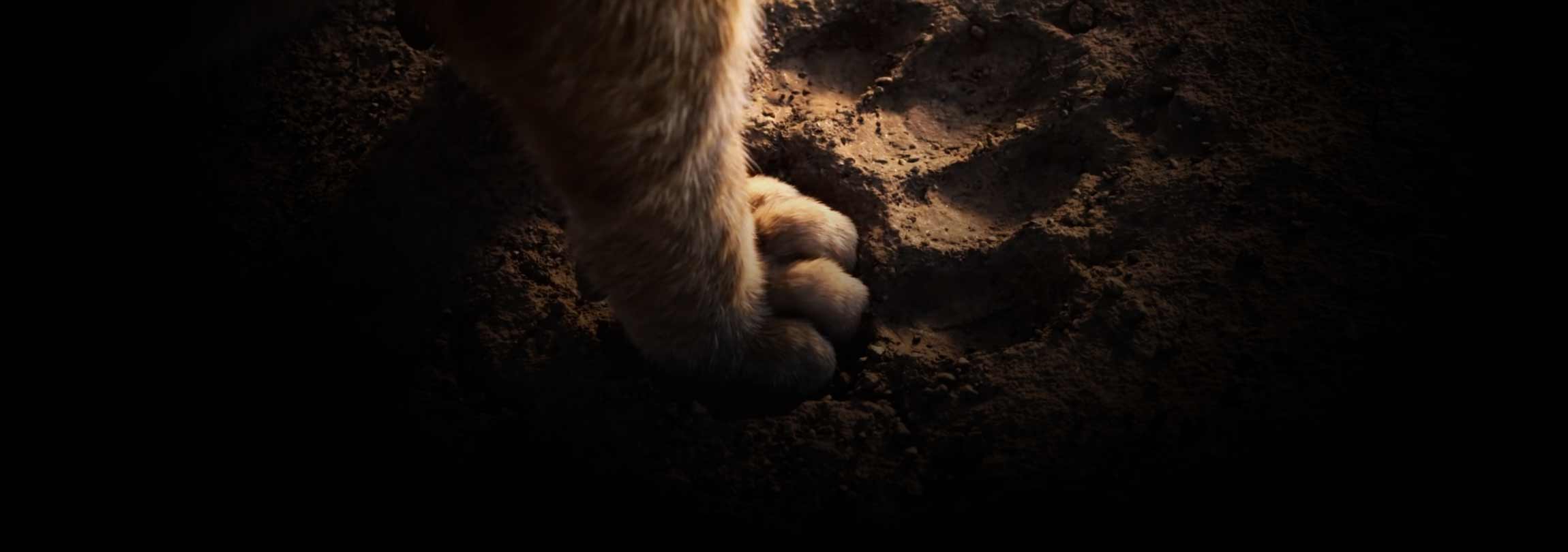 Salvem os leões, matem os bebês!