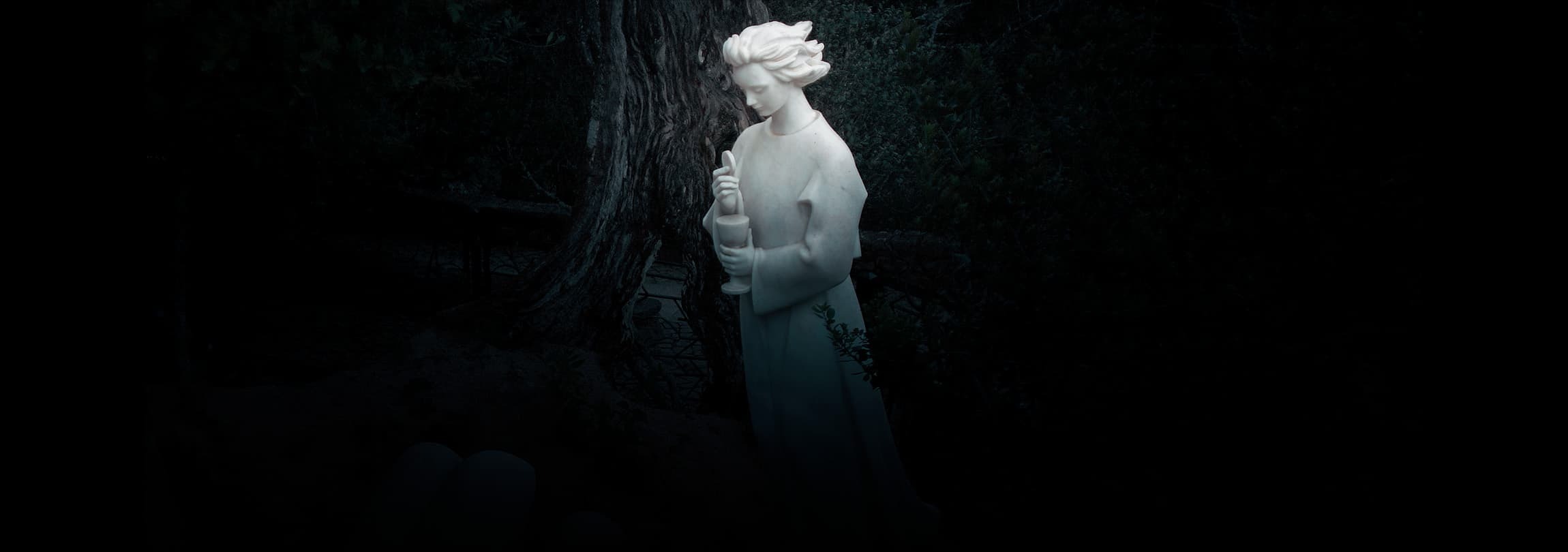 “Eu sou o Anjo da sua guarda, o Anjo de Portugal”