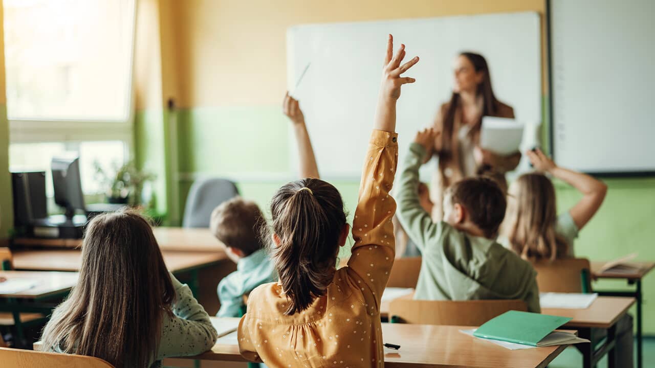 Educação e Neuroplasticidade
