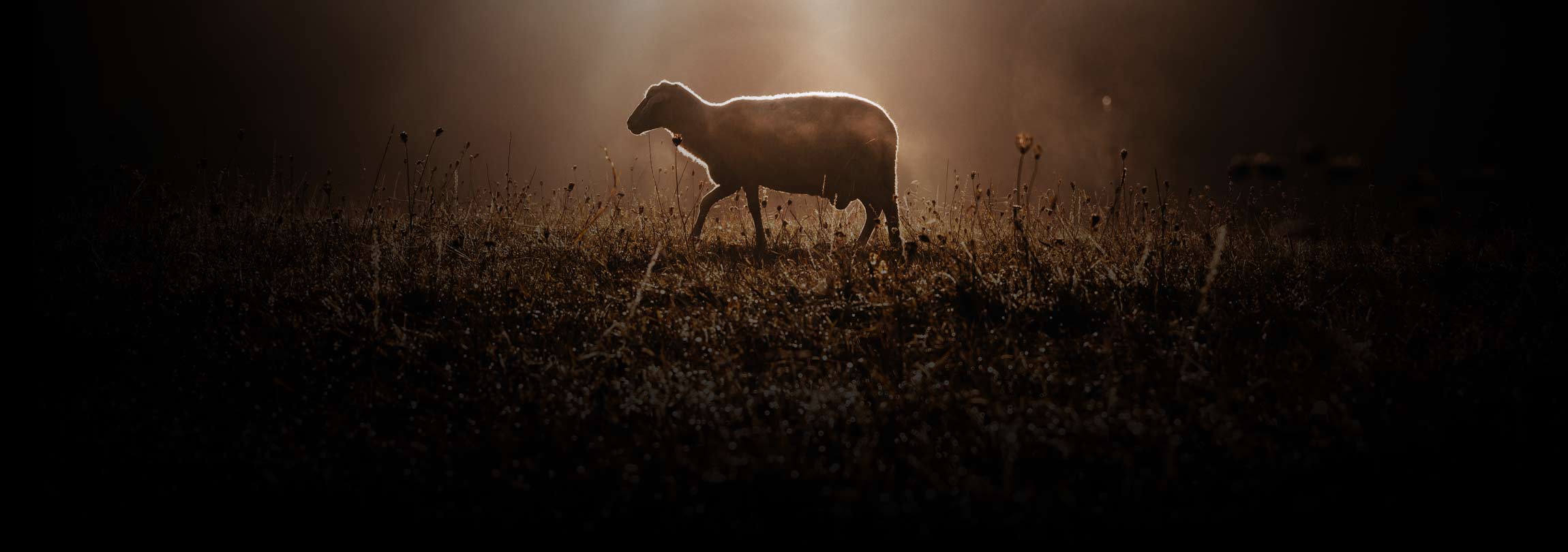 As festas judaicas foram abolidas pela Igreja?