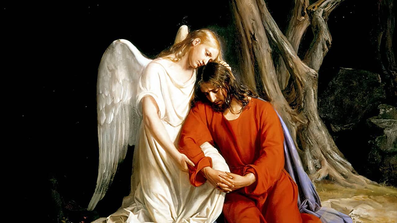 A consolação de Jesus segundo São Lucas