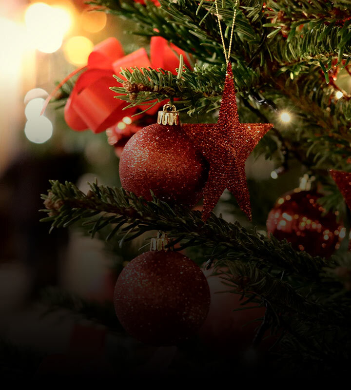 A árvore de Natal é pagã ou cristã?