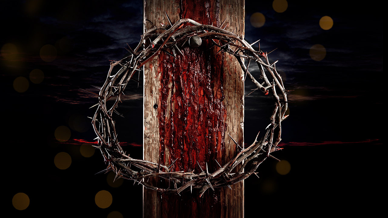 Venerar, imitar e invocar o Preciosíssimo Sangue