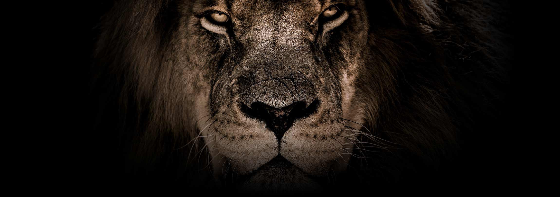 Se não incomoda, não é Palavra de Deus