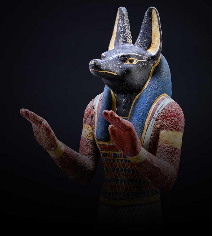 “Direitos dos animais”?