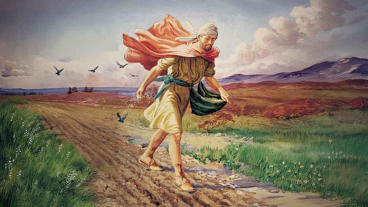 Os três terrenos da parábola do semeador