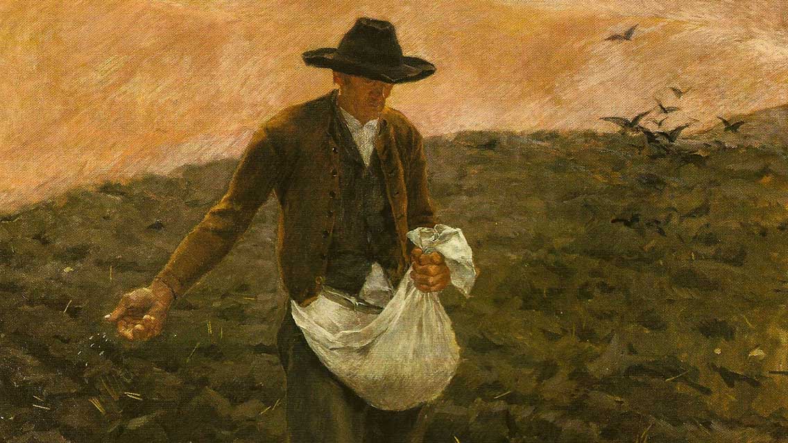 A semente da Palavra