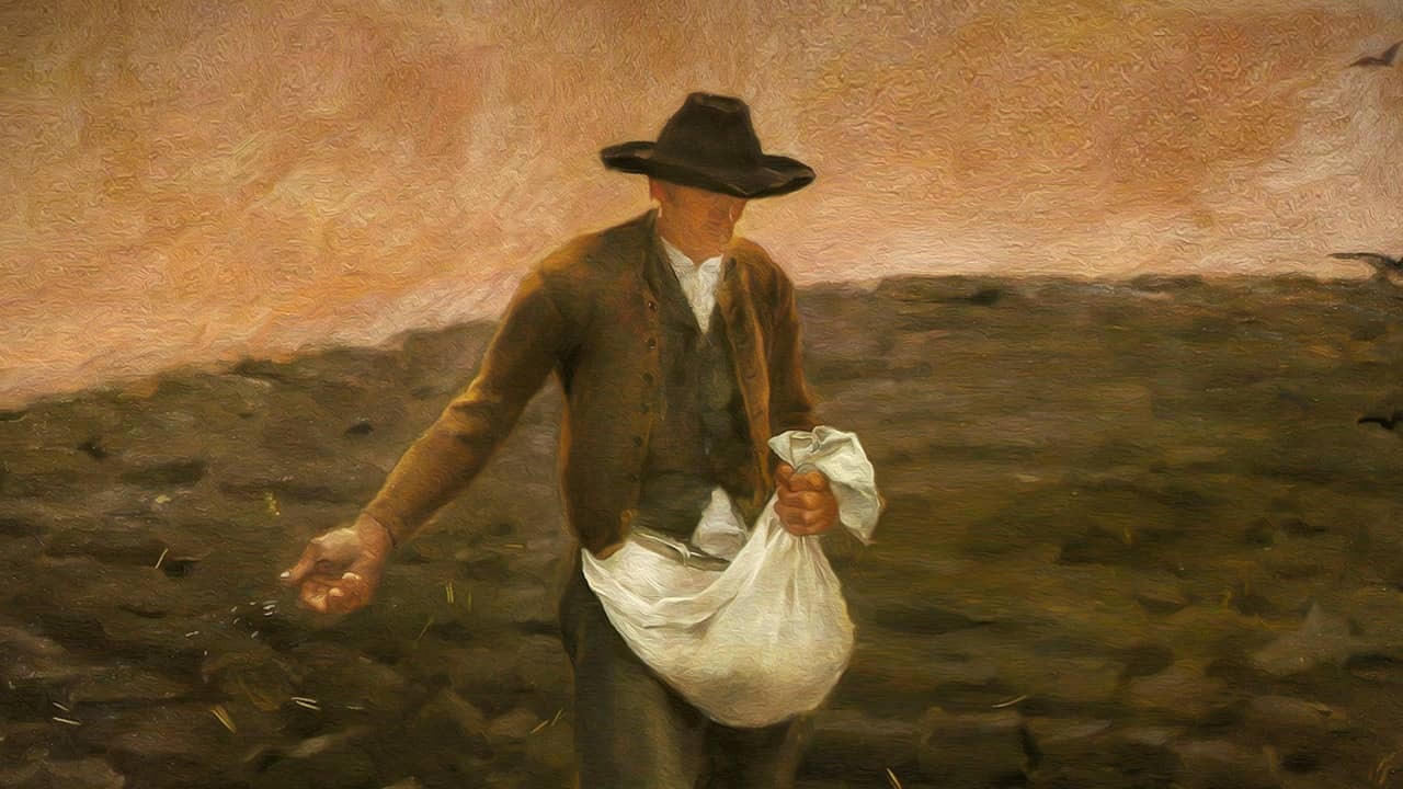 Três terrenos, três etapas